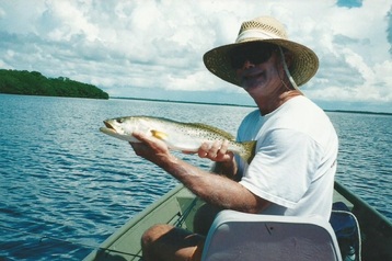 Picture