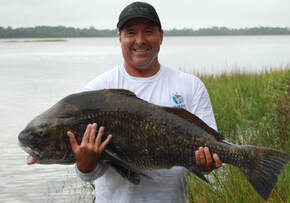 Best Baits and Lures for Black Drum (The Complete Guide) - FYAO Saltwater  Media Group, Inc.