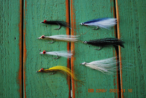 Bass Pro Shops All Species Freshwater Fishing Baits, Lures & Flies