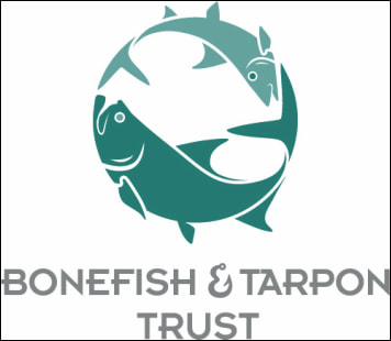 Best Tackle for Tarpon Fishing (The Complete Guide) - FYAO Saltwater Media  Group, Inc.